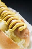 Hot Dog mit Sauerkraut und Senf