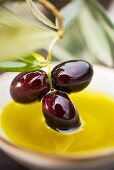 Schwarze Oliven am Zweig in Olivenöl eintauchen