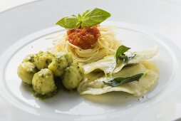Spaghetti, gnocchi and ravioli on a plate