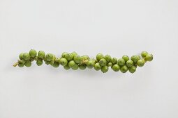 A cluster of green peppercorns