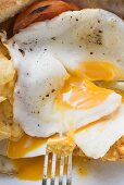 Fried egg (close-up)