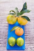 Oranges, clementine & limes on blue cloth (overhead view)