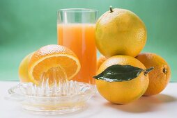 Glass of orange juice, several oranges and citrus squeezer