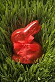 Red chocolate Easter Bunny in grass