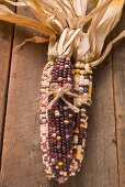 Cob of corn (Autumn decoration, USA)