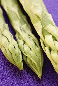 Green asparagus tips (close-up)