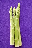 Green asparagus spears on blue background
