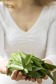 Woman holding fresh ramsons (wild garlic)