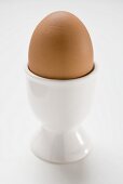 Brown egg in eggcup