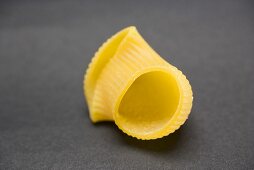 Lumaconi (pasta shell)