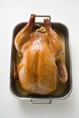 Stuffed roast turkey in roasting tin (overhead view)