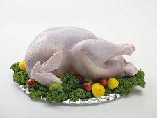 Fresh turkey garnished with vegetables and parsley