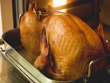 Stuffed roast turkey in the oven