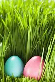 Two Easter eggs in grass