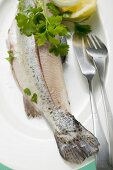 Trout with parsley and fish knife and fork on plate