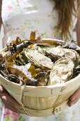 Woman holding basket full of fresh oysters