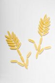 Two flowers formed from pasta