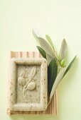 Olive soap and olive branch