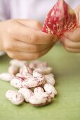 Child's hands with borlotti beans and pod