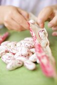 Child's hands shelling borlotti beans