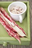 Borlotti beans in cup, pods beside it