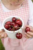 Small girl holding pot of fresh cherries