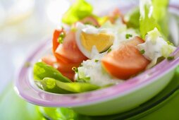 Lettuce, egg, tomato and yoghurt dressing