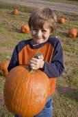 Boy holding a large pumpkin in a field