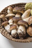 Ceps in a basket