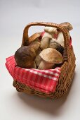 Fresh ceps in a basket