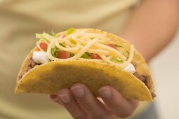 Hand hält Taco mit Hackfleisch und Käse