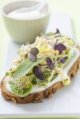 Yoghurt, sprouts and herbs on slice of bread