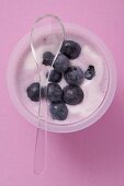 Blueberry yoghurt in plastic pot with spoon
