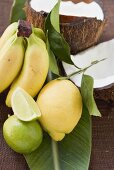 Lemon, limes, bananas and coconut