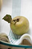 Ein Bio-Apfel auf Geschirrtuch