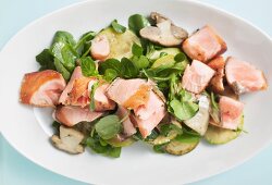 Salad leaves with fried salmon and mushrooms