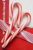 Two candy canes for Christmas