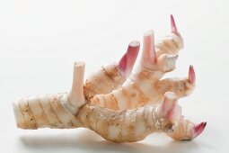 Fresh galangal