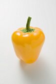 Yellow pepper