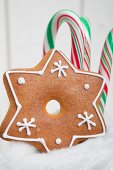 Gingerbread star and candy canes in a boot
