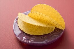 Two taco shells on Mexican plate