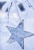 Star on a snowy branch out of doors