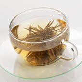Tea anemone in glass cup
