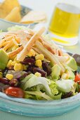 Mexican salad with tortilla strips (detail)