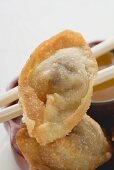 Deep-fried dim sum on chopsticks (close-up)