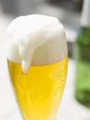 Glass of lager with overflowing head of foam