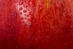 Red apple with drops of water (detail)