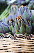 Italian artichokes (with spines) in a basket
