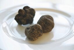 Schwarze Trüffeln (Chinatrüffel) auf Porzellanteller