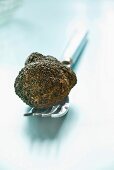 Black truffle (Périgord truffle) on fork
